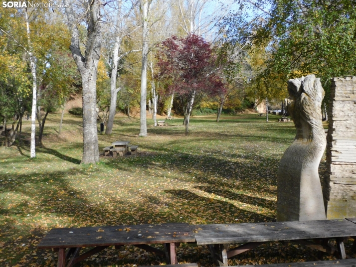 Fotos: Los colores oto&ntilde;ales invaden los m&aacute;rgenes del Duero y el Castillo
