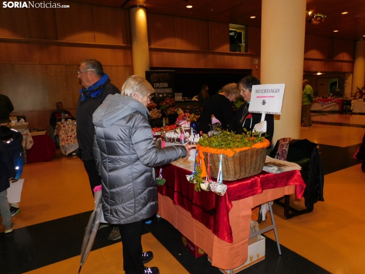 En im&aacute;genes: &Oacute;lvega da la bienvenida a la Navidad con un mercadillo navide&ntilde;o solidario