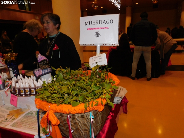 En im&aacute;genes: &Oacute;lvega da la bienvenida a la Navidad con un mercadillo navide&ntilde;o solidario