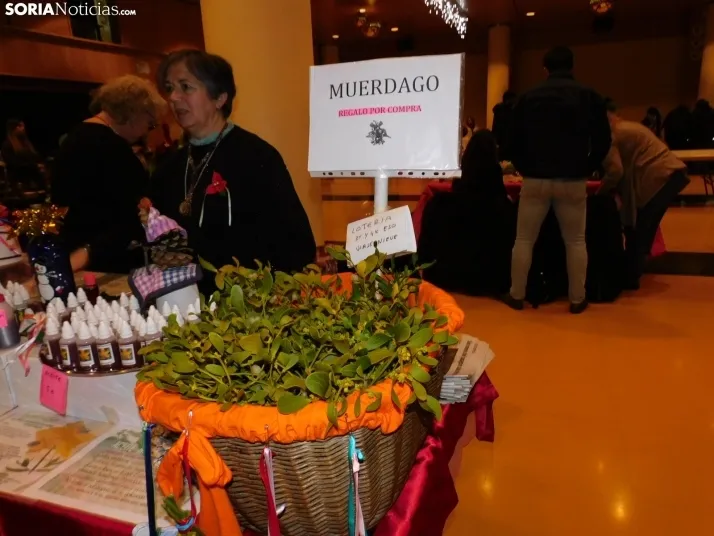 En im&aacute;genes: &Oacute;lvega da la bienvenida a la Navidad con un mercadillo navide&ntilde;o solidario