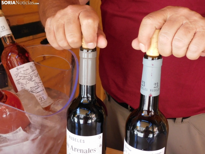 Fotos: Los mejores vinos de Soria se dan cita en San Esteban