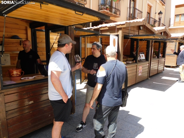 Fotos: Los mejores vinos de Soria se dan cita en San Esteban