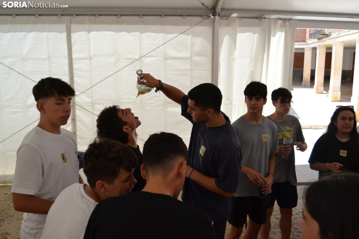 Gallofa de Morón de Almazán