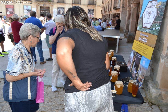 En im&aacute;genes: M&aacute;s de 400 personas acuden a Medinaceli para reencontrarse con sus or&iacute;genes 