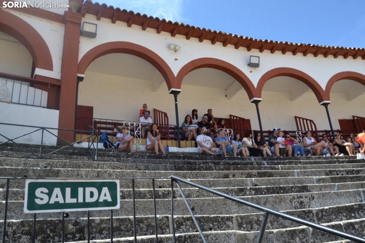 En im&aacute;genes: Las finales del V&oacute;ley Plaza empiezan con los m&aacute;s peque&ntilde;os