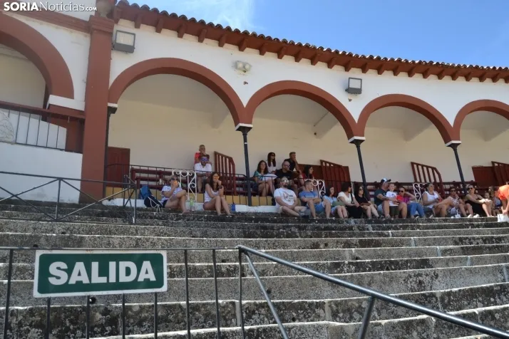En im&aacute;genes: Las finales del V&oacute;ley Plaza empiezan con los m&aacute;s peque&ntilde;os