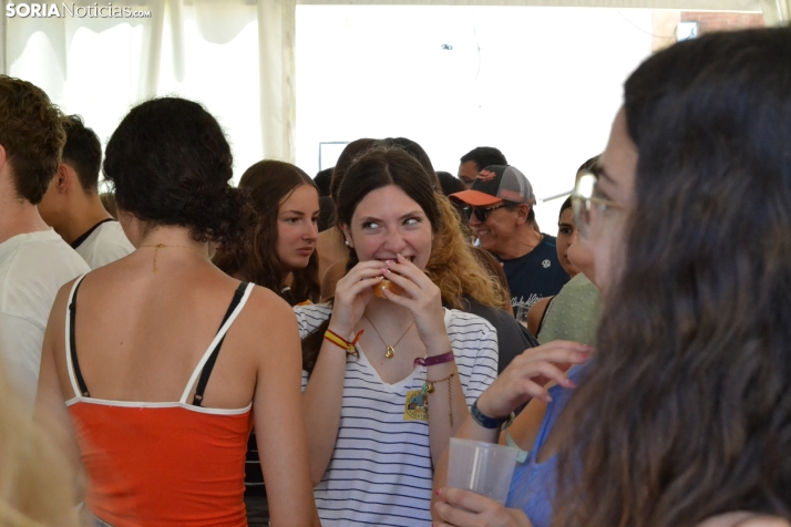 Gallofa de Morón de Almazán