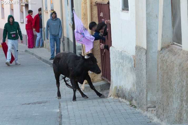Encierro de Arcos 2025