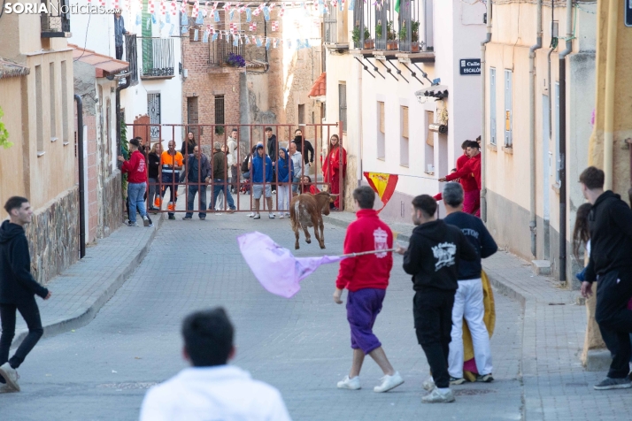 Encierro de Arcos 2025