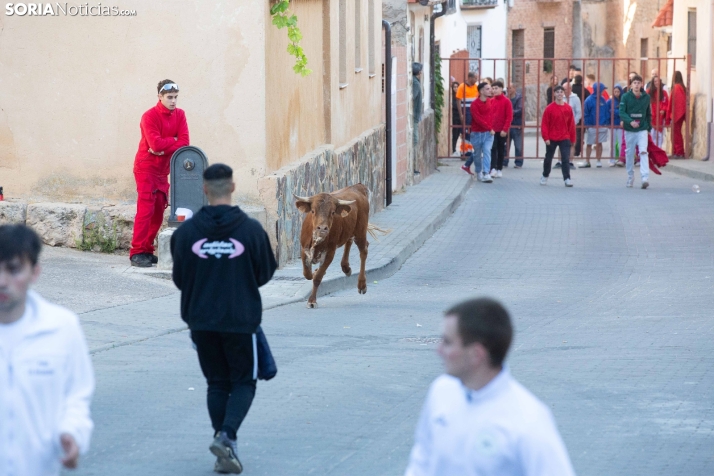 Encierro de Arcos 2025