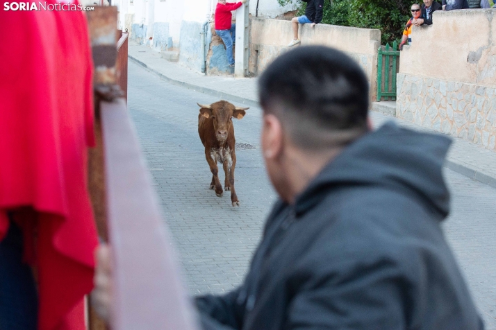 Encierro de Arcos 2025