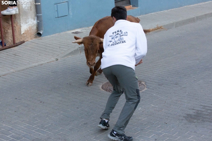 Encierro de Arcos 2025
