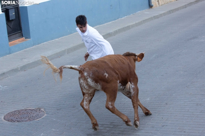 Encierro de Arcos 2025