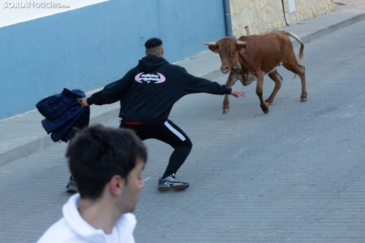 Encierro de Arcos 2025