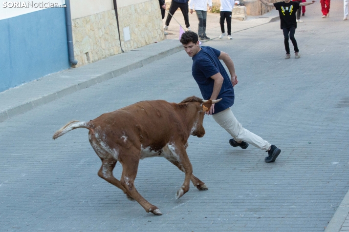Encierro de Arcos 2025