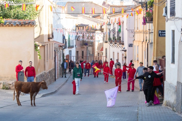 Encierro de Arcos 2025