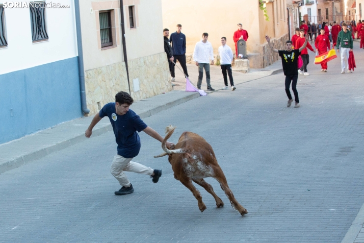 Encierro de Arcos 2025