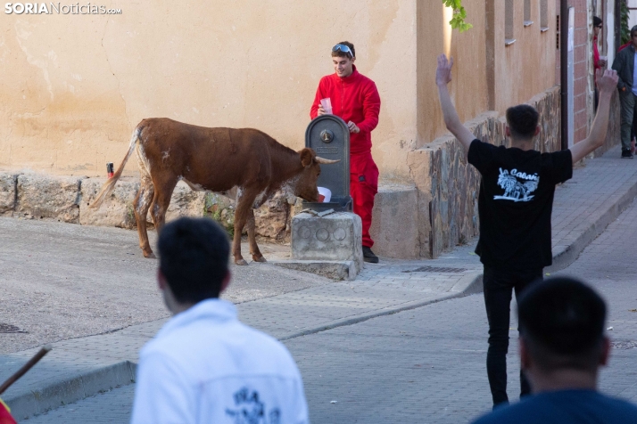 Encierro de Arcos 2025