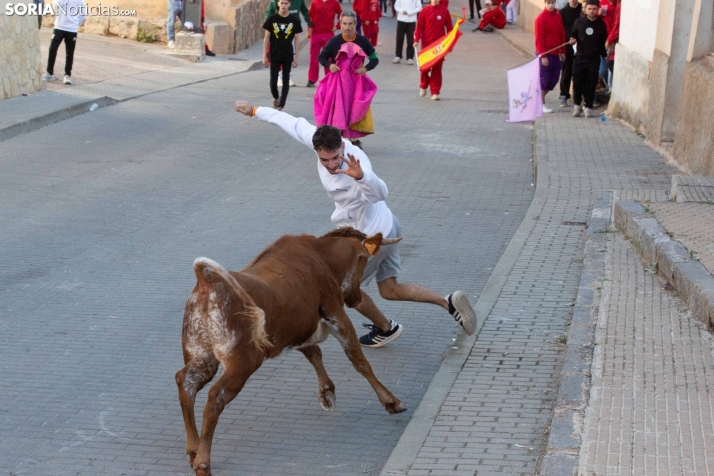 Encierro de Arcos 2025