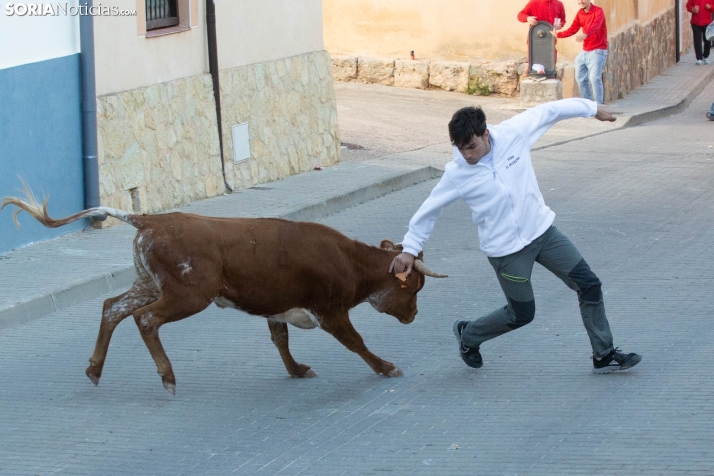 Encierro de Arcos 2025