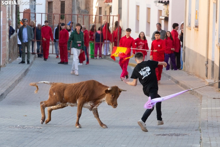 Encierro de Arcos 2025