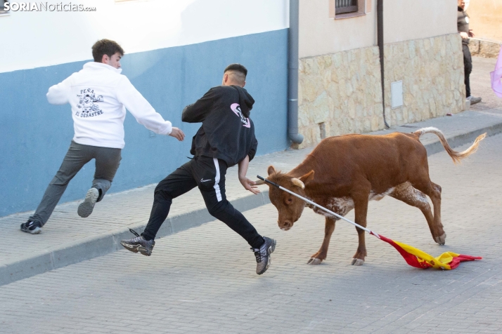 Encierro de Arcos 2025
