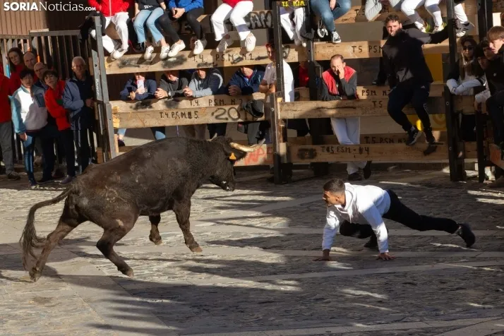 Encierro por San Miguel en Ágreda