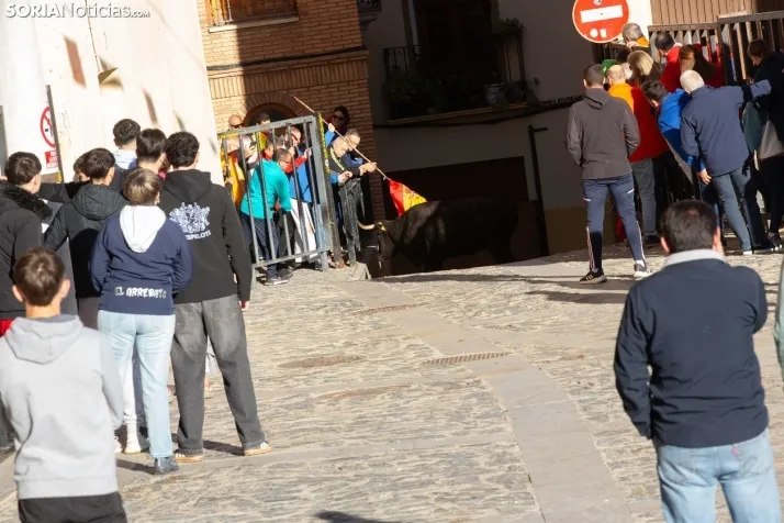 Encierro por San Miguel en Ágreda