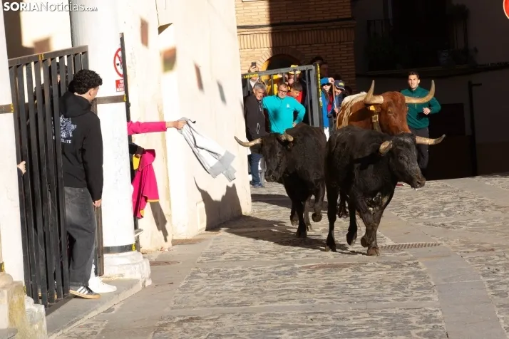 Encierro por San Miguel en Ágreda