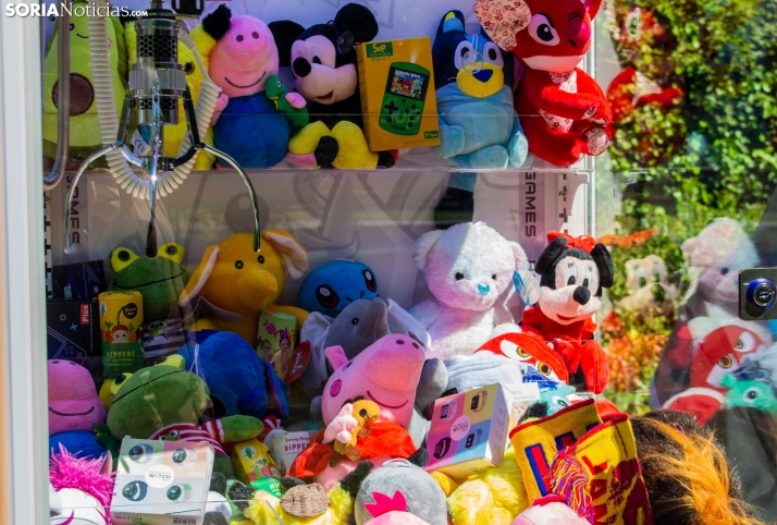 GALER&Iacute;A | Cientos de colores, olores y sabores en la Feria de Muestras de Almaz&aacute;n