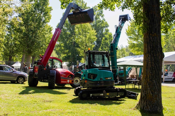 GALER&Iacute;A | Cientos de colores, olores y sabores en la Feria de Muestras de Almaz&aacute;n