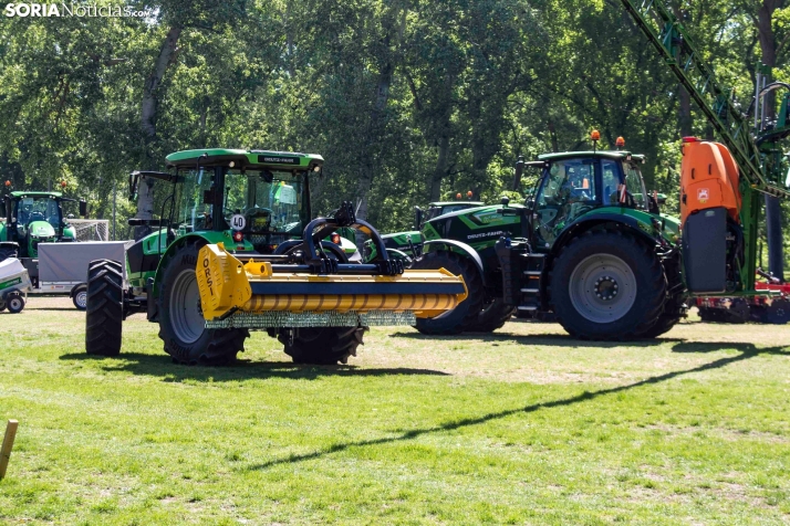 GALER&Iacute;A | Cientos de colores, olores y sabores en la Feria de Muestras de Almaz&aacute;n