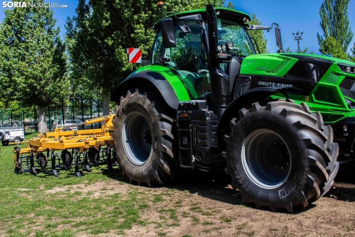 GALER&Iacute;A | Cientos de colores, olores y sabores en la Feria de Muestras de Almaz&aacute;n