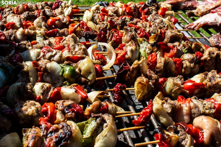 GALER&Iacute;A | Cientos de colores, olores y sabores en la Feria de Muestras de Almaz&aacute;n