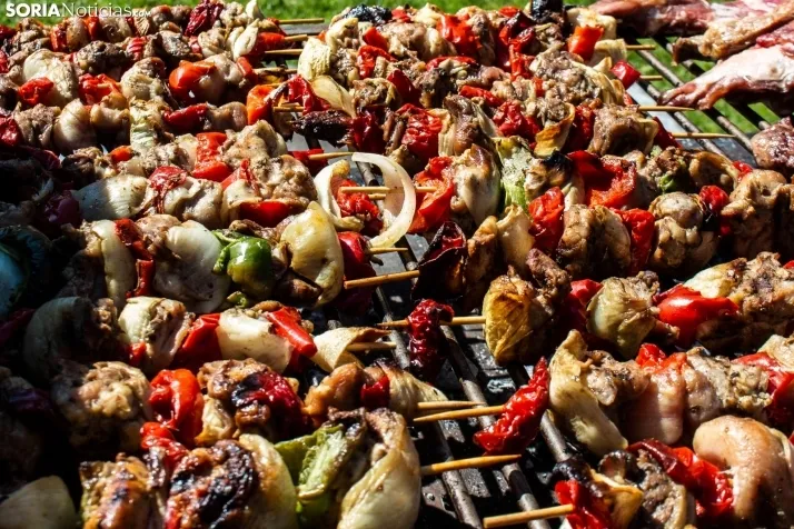 GALER&Iacute;A | Cientos de colores, olores y sabores en la Feria de Muestras de Almaz&aacute;n