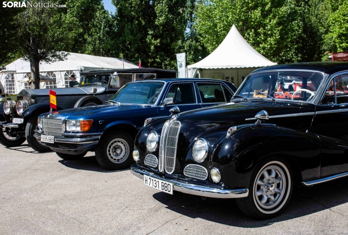GALER&Iacute;A | Cientos de colores, olores y sabores en la Feria de Muestras de Almaz&aacute;n