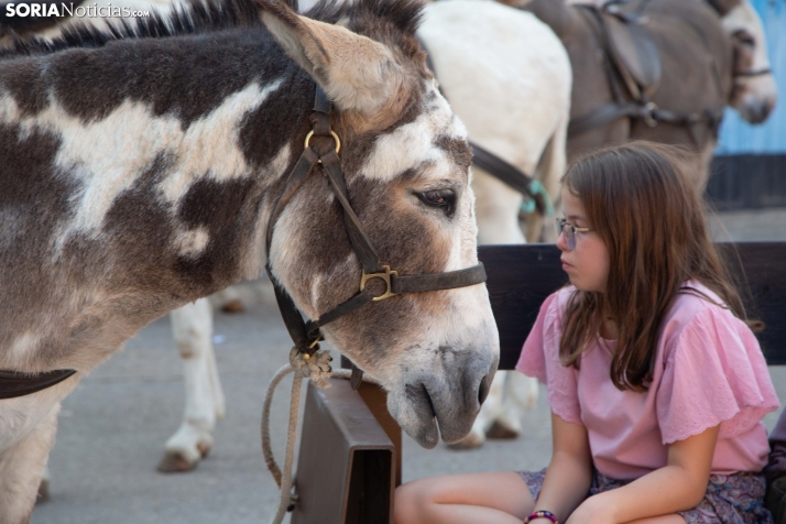Feria medieval San Esteban 2025