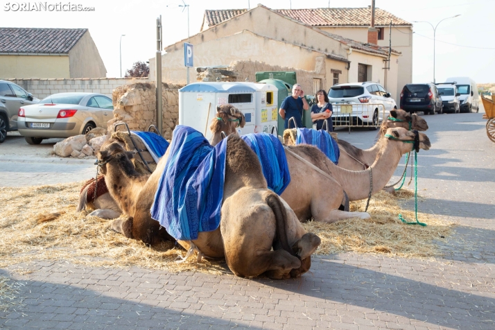 Feria medieval San Esteban 2025