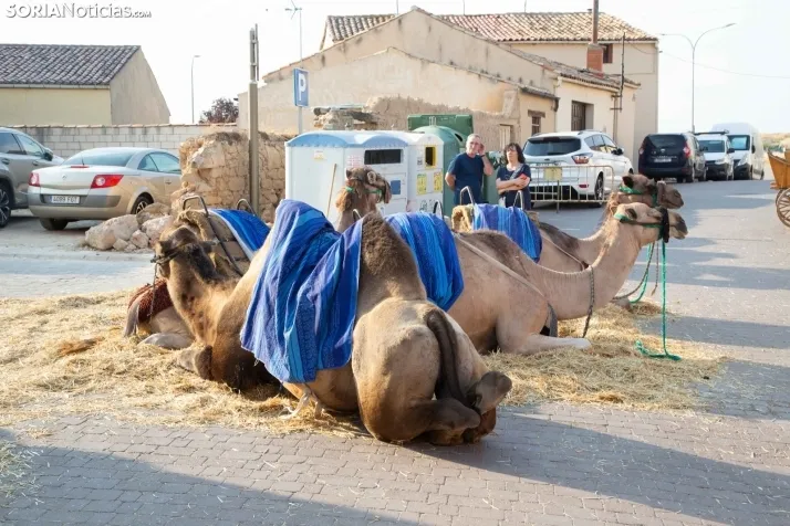 Feria medieval San Esteban 2025