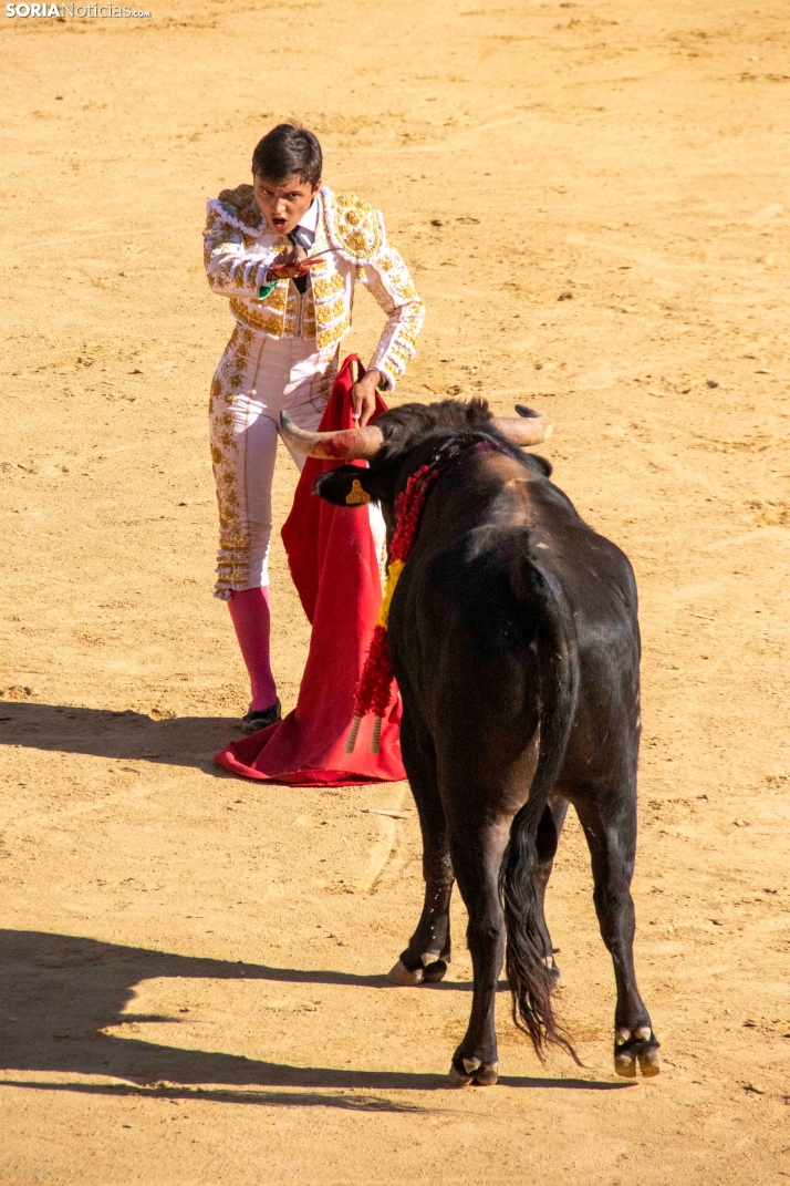 Tarde novilleril del Viernes de Toros 2025. Viksar Fotografía