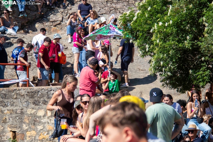 Suelta de la 'Compra' 2025./ Viksar Fotografía