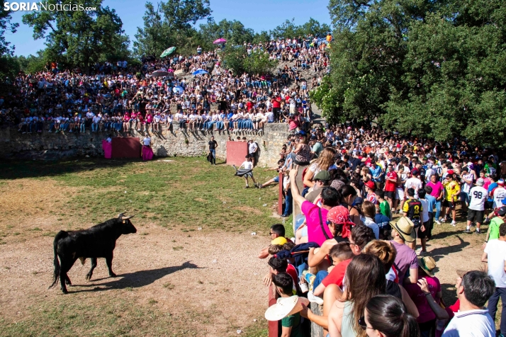 Suelta de la 'Compra' 2025./ Viksar Fotografía