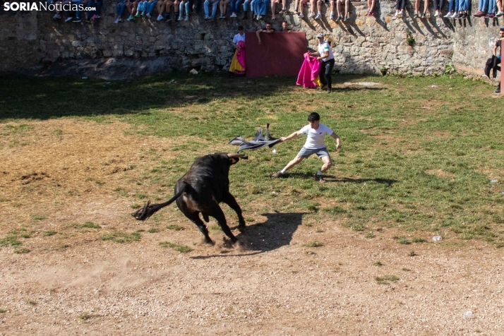 Suelta de la 'Compra' 2025./ Viksar Fotografía