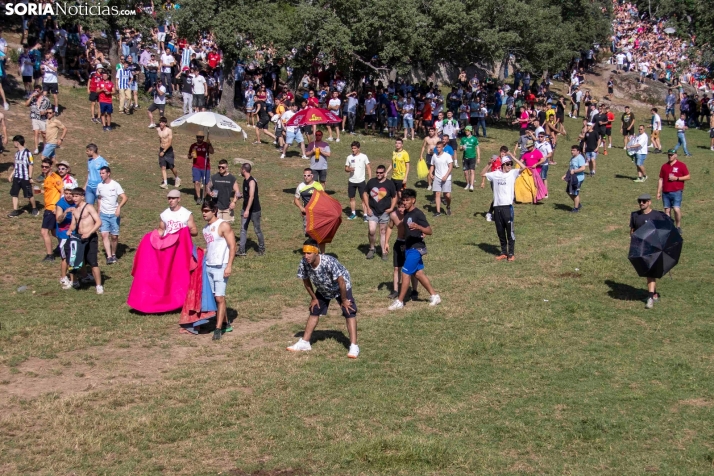 Suelta de la 'Compra' 2025./ Viksar Fotografía