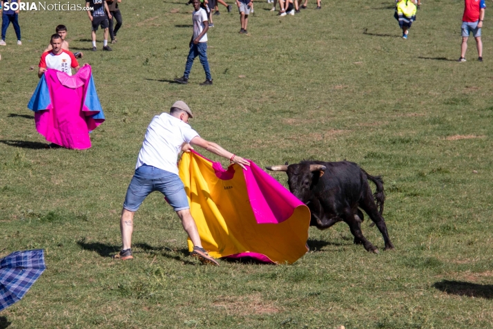 Suelta de la 'Compra' 2025./ Viksar Fotografía