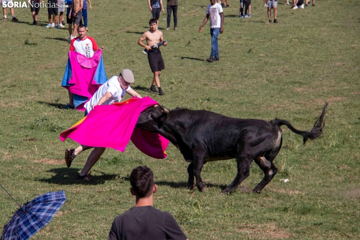 Suelta de la 'Compra' 2025./ Viksar Fotografía