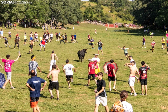 Suelta de la 'Compra' 2025./ Viksar Fotografía