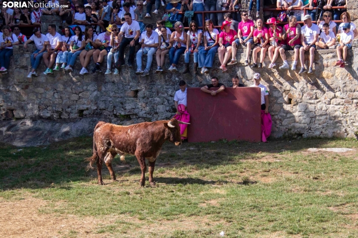 Suelta de la 'Compra' 2025./ Viksar Fotografía