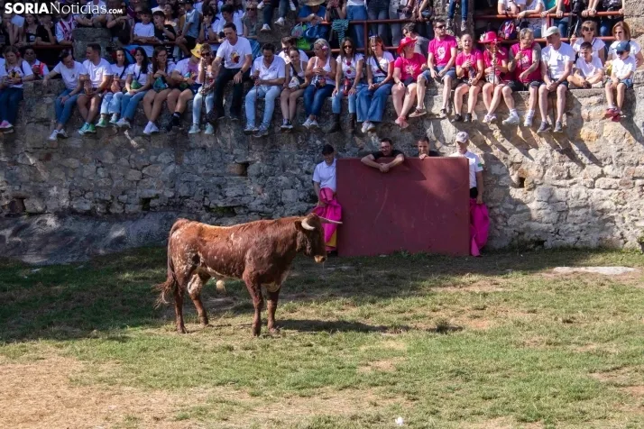 Suelta de la 'Compra' 2025./ Viksar Fotografía