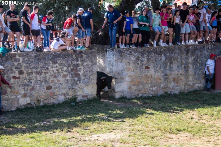 Suelta de la 'Compra' 2025./ Viksar Fotografía